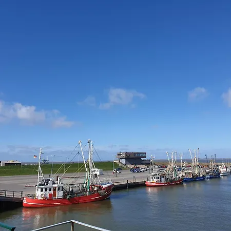 Seemoewennest Dornumersiel